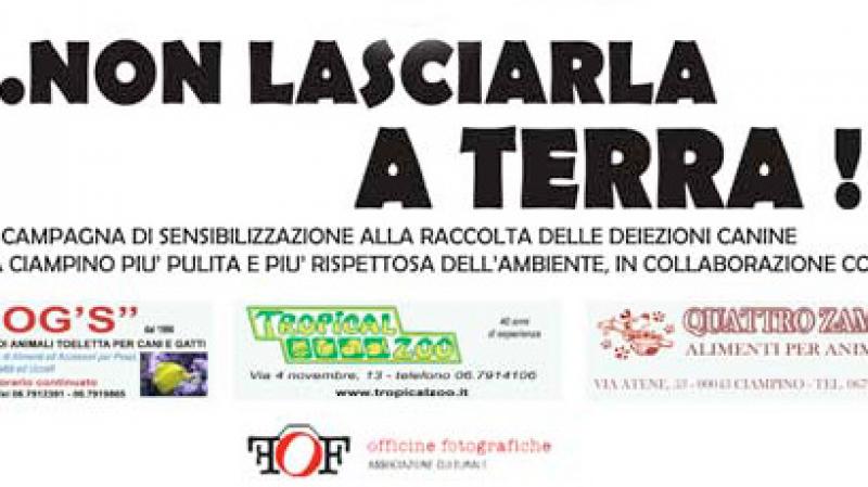  Non lasciarla a terra