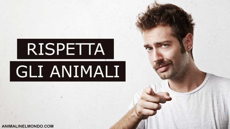  Tutela e rispetto degli animali