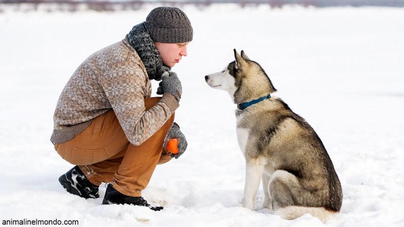  Uome e cane un’alleanza fondativa