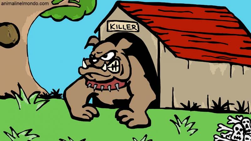  Il cane da guardia e l'importanza della socializzazione