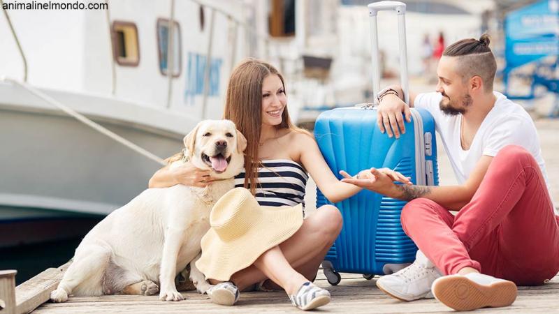  Viaggio in nave con il cane