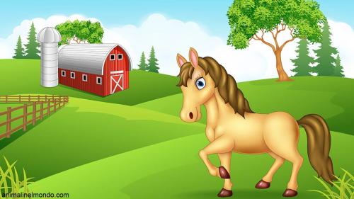  Guida all'acquisto del cavallo