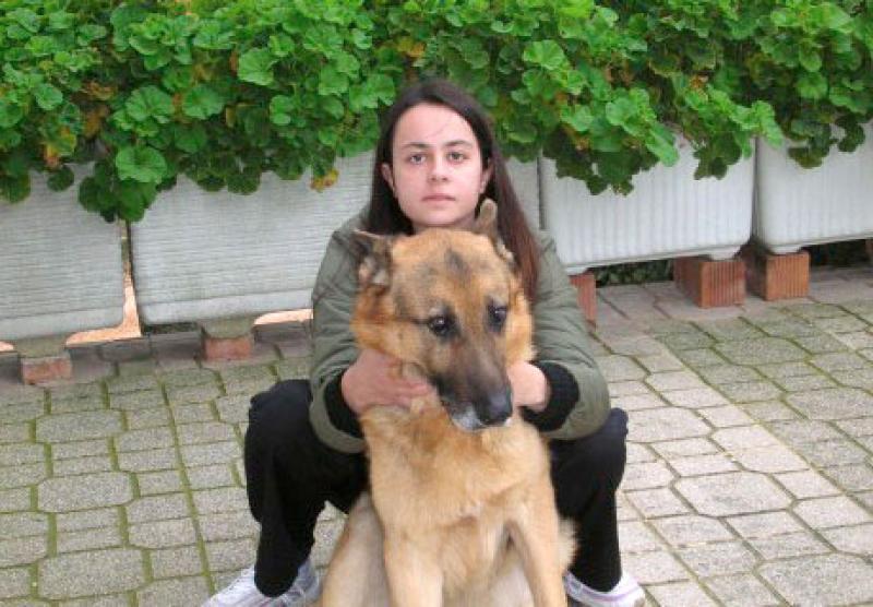  Cai, un grande cane