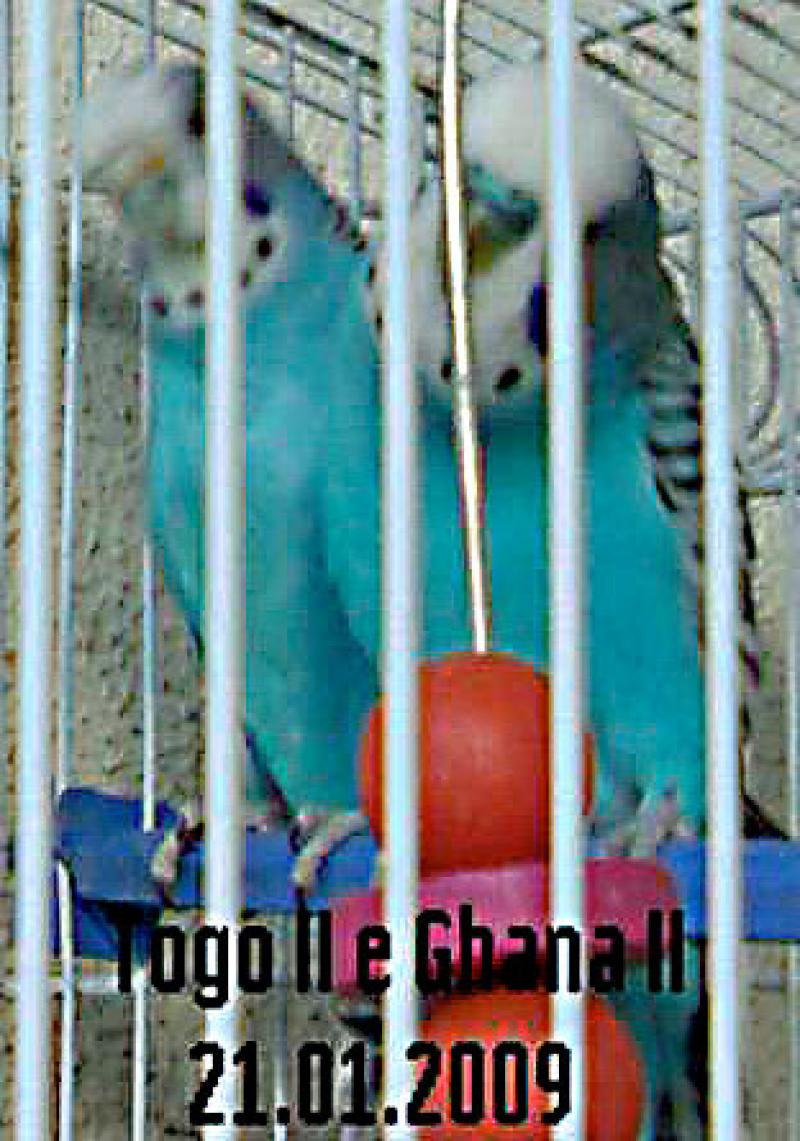  Togo II e Ghana II