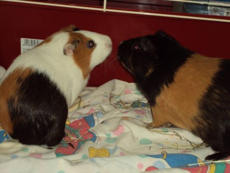  Letizia & Lilli