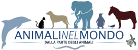 Animali nel mondo